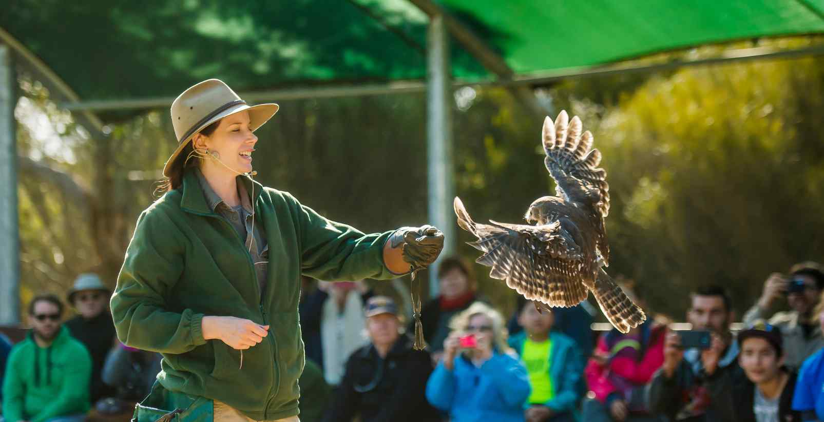 Bird flying onto bird keeper at wildlife park