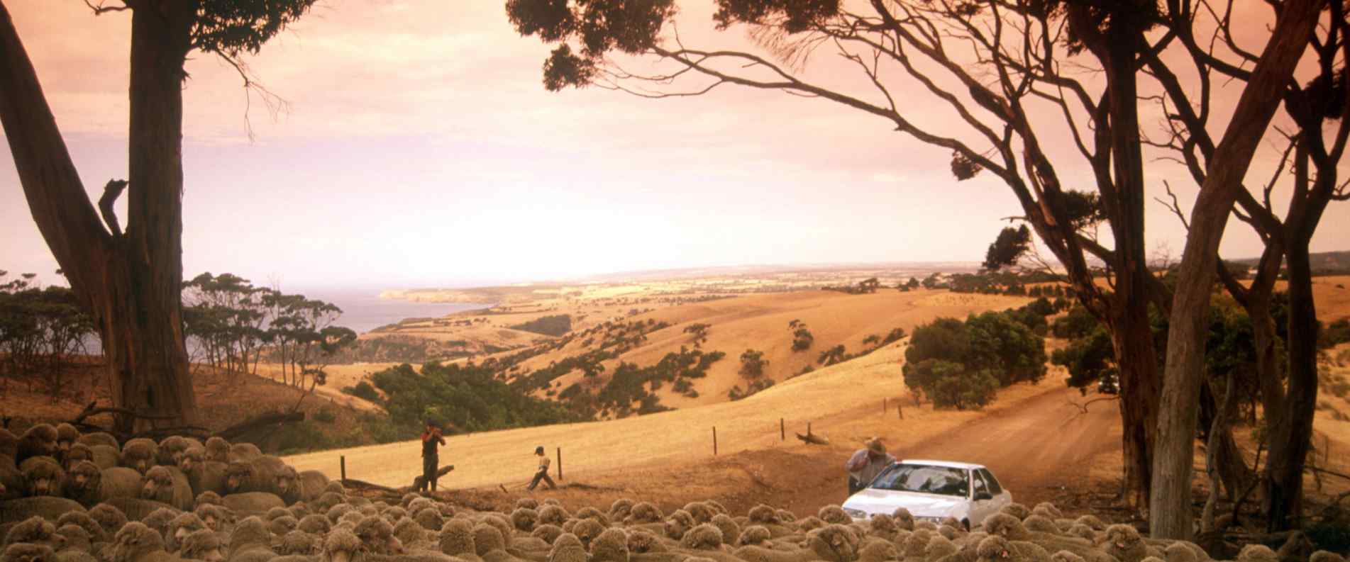 people next to car at lookout on Kangaroo Island