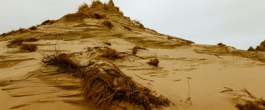 sand dunes