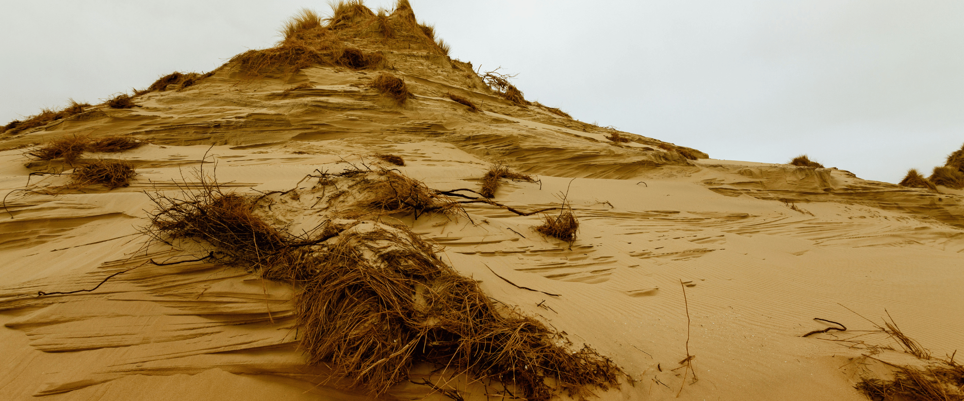 sand dunes